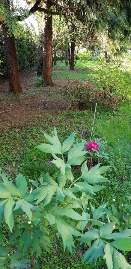 B&B Gloria Галарате Екстериор снимка