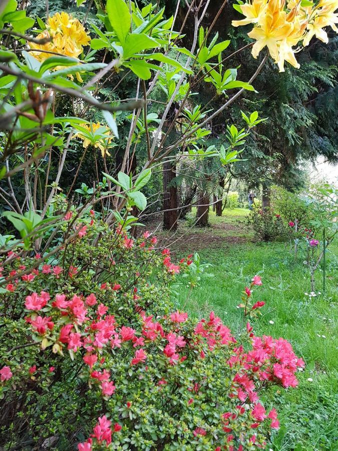 B&B Gloria Галарате Екстериор снимка